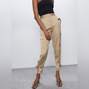 Aritzia Babaton Refined Cargo Pant